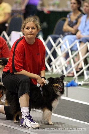 Dawg Derby Flyball Tournement<br />July 12<br />Classic Center<br />Athens, Ga