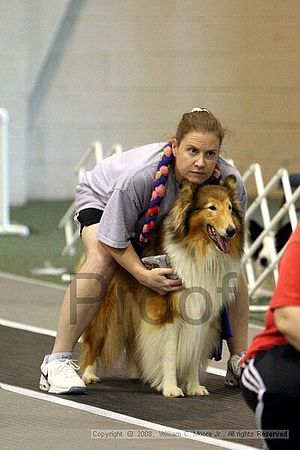 Dawg Derby Flyball Tournement<br />July 12<br />Classic Center<br />Athens, Ga