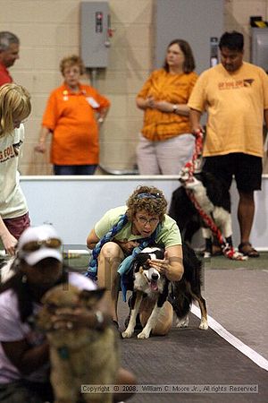 Dawg Derby Flyball Tournement<br />July 12<br />Classic Center<br />Athens, Ga