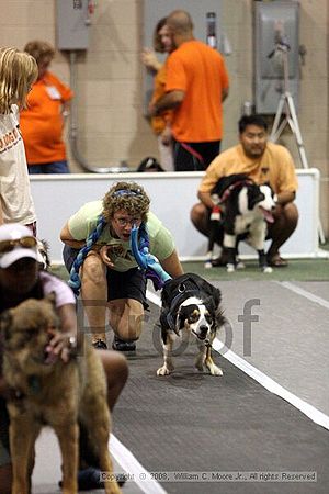 Dawg Derby Flyball Tournement<br />July 12<br />Classic Center<br />Athens, Ga