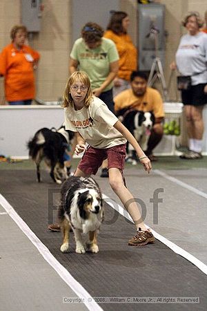 Dawg Derby Flyball Tournement<br />July 12<br />Classic Center<br />Athens, Ga