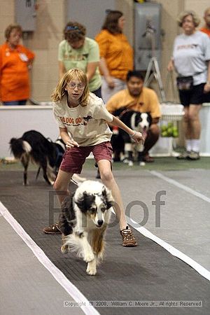 Dawg Derby Flyball Tournement<br />July 12<br />Classic Center<br />Athens, Ga
