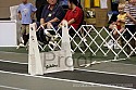 img_5064_thm.jpg