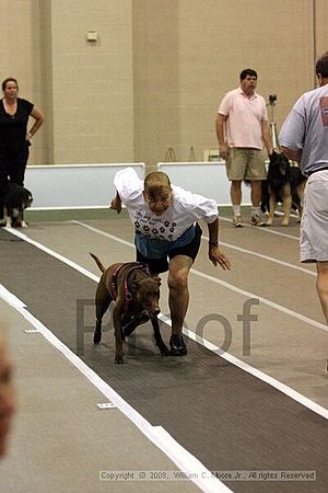 Dawg Derby Flyball Tournement<br />July 13<br />Classic Center<br />Athens, Ga