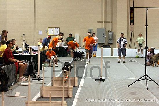 Dawg Derby Flyball Tournement<br />July 13<br />Classic Center<br />Athens, Ga