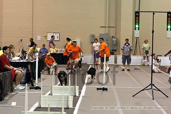 Dawg Derby Flyball Tournement<br />July 13<br />Classic Center<br />Athens, Ga