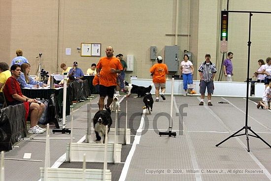 Dawg Derby Flyball Tournement<br />July 13<br />Classic Center<br />Athens, Ga