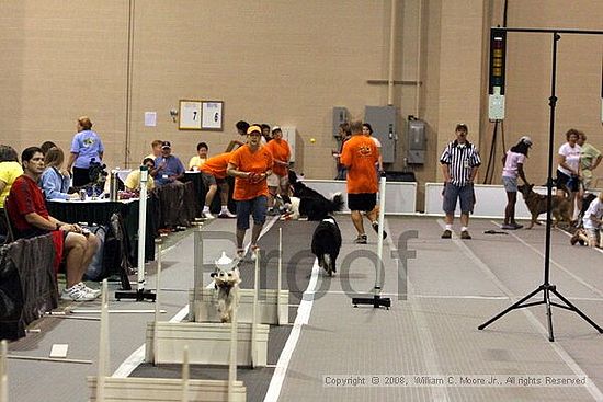 Dawg Derby Flyball Tournement<br />July 13<br />Classic Center<br />Athens, Ga