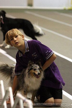 Dawg Derby Flyball Tournement<br />July 13<br />Classic Center<br />Athens, Ga