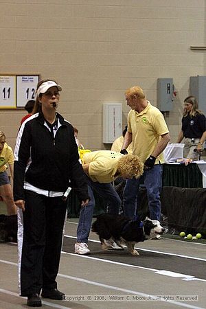 Dawg Derby Flyball Tournement<br />July 13<br />Classic Center<br />Athens, Ga