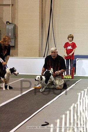 Dawg Derby Flyball Tournement<br />July 13<br />Classic Center<br />Athens, Ga