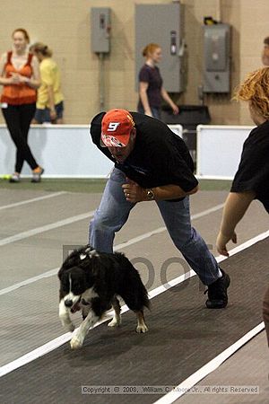 Dawg Derby Flyball Tournement<br />July 13<br />Classic Center<br />Athens, Ga