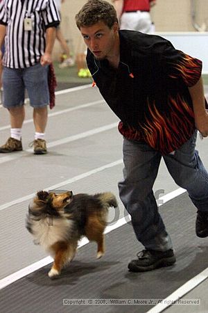 Dawg Derby Flyball Tournement<br />July 13<br />Classic Center<br />Athens, Ga