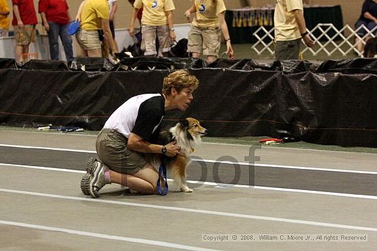 Dawg Derby Flyball Tournement<br />July 13<br />Classic Center<br />Athens, Ga