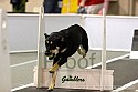 img_0049_thm.jpg