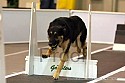 img_0050_thm.jpg