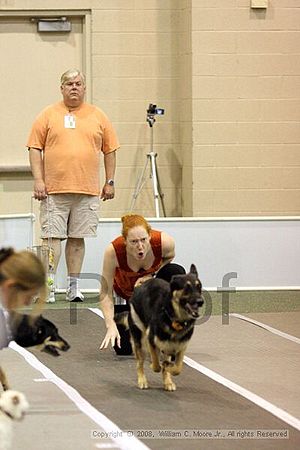 Dawg Derby Flyball Tournement<br />July 13<br />Classic Center<br />Athens, Ga