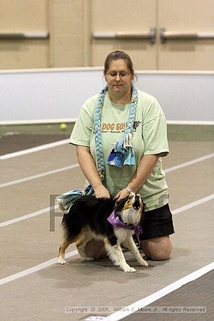 Dawg Derby Flyball Tournement<br />July 13<br />Classic Center<br />Athens, Ga