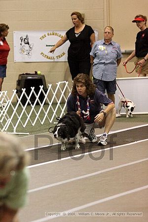 Dawg Derby Flyball Tournement<br />July 13<br />Classic Center<br />Athens, Ga