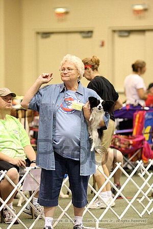 Dawg Derby Flyball Tournement<br />July 13<br />Classic Center<br />Athens, Ga