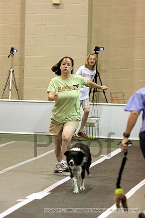 Dawg Derby Flyball Tournement<br />July 13<br />Classic Center<br />Athens, Ga