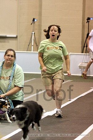 Dawg Derby Flyball Tournement<br />July 13<br />Classic Center<br />Athens, Ga