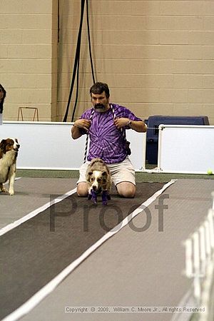 Dawg Derby Flyball Tournement<br />July 13<br />Classic Center<br />Athens, Ga