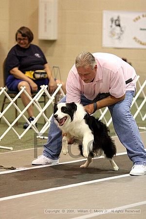 Dawg Derby Flyball Tournement<br />July 13<br />Classic Center<br />Athens, Ga