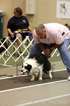 Dawg Derby Flyball Tournement<br />July 13<br />Classic Center<br />Athens, Ga