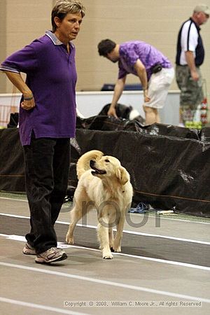 Dawg Derby Flyball Tournement<br />July 13<br />Classic Center<br />Athens, Ga