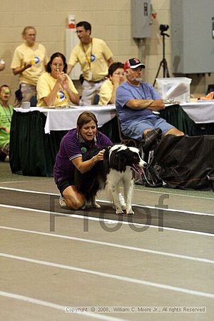 Dawg Derby Flyball Tournement<br />July 13<br />Classic Center<br />Athens, Ga