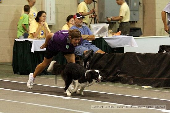 Dawg Derby Flyball Tournement<br />July 13<br />Classic Center<br />Athens, Ga