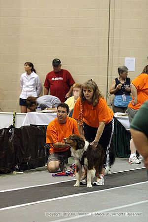 Dawg Derby Flyball Tournement<br />July 13<br />Classic Center<br />Athens, Ga