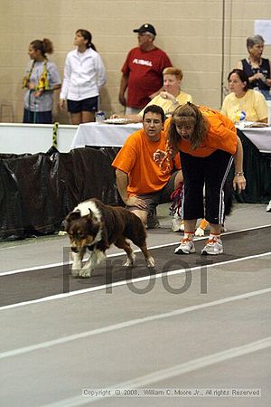 Dawg Derby Flyball Tournement<br />July 13<br />Classic Center<br />Athens, Ga