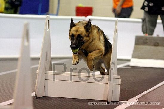 Dawg Derby Flyball Tournement<br />July 13<br />Classic Center<br />Athens, Ga