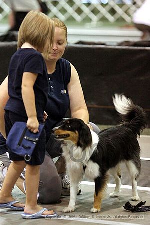 Dawg Derby Flyball Tournement<br />July 13<br />Classic Center<br />Athens, Ga