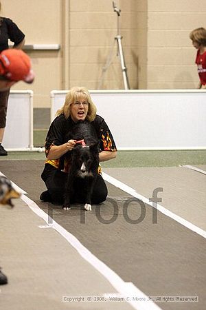 Dawg Derby Flyball Tournement<br />July 13<br />Classic Center<br />Athens, Ga