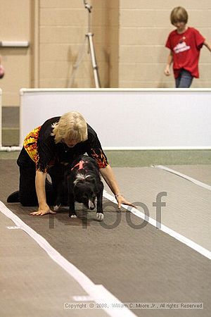 Dawg Derby Flyball Tournement<br />July 13<br />Classic Center<br />Athens, Ga