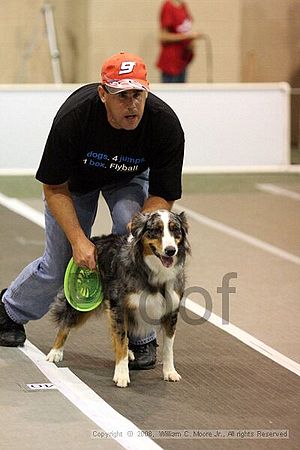Dawg Derby Flyball Tournement<br />July 13<br />Classic Center<br />Athens, Ga