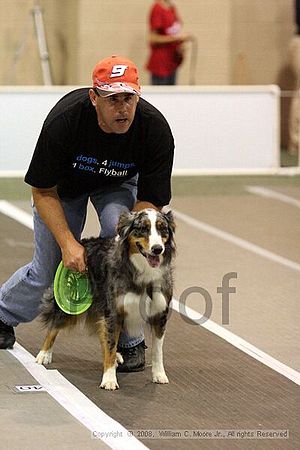 Dawg Derby Flyball Tournement<br />July 13<br />Classic Center<br />Athens, Ga