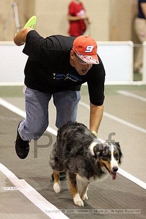 Dawg Derby Flyball Tournement<br />July 13<br />Classic Center<br />Athens, Ga