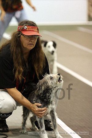 Dawg Derby Flyball Tournement<br />July 13<br />Classic Center<br />Athens, Ga
