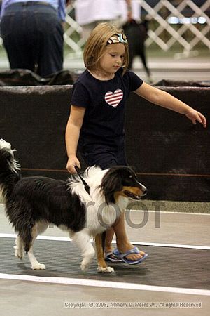 Dawg Derby Flyball Tournement<br />July 13<br />Classic Center<br />Athens, Ga