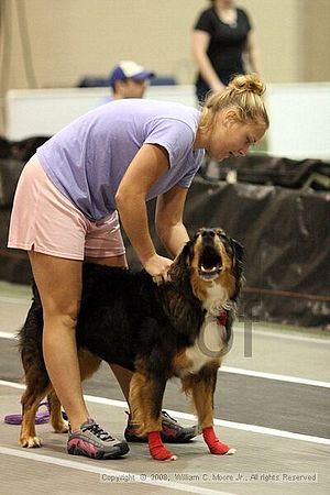 Dawg Derby Flyball Tournement<br />July 13<br />Classic Center<br />Athens, Ga