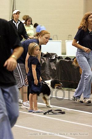 Dawg Derby Flyball Tournement<br />July 13<br />Classic Center<br />Athens, Ga