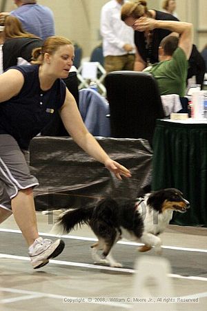 Dawg Derby Flyball Tournement<br />July 13<br />Classic Center<br />Athens, Ga
