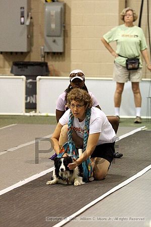 Dawg Derby Flyball Tournement<br />July 13<br />Classic Center<br />Athens, Ga