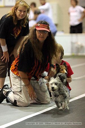 Dawg Derby Flyball Tournement<br />July 13<br />Classic Center<br />Athens, Ga