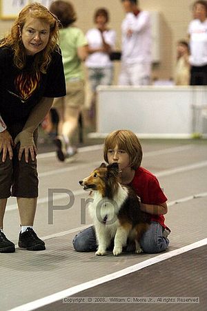 Dawg Derby Flyball Tournement<br />July 13<br />Classic Center<br />Athens, Ga