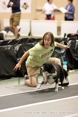 Dawg Derby Flyball Tournement<br />July 13<br />Classic Center<br />Athens, Ga